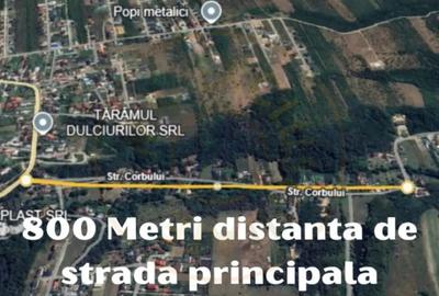 Teren de 844 mp, în Moșoaia - 1