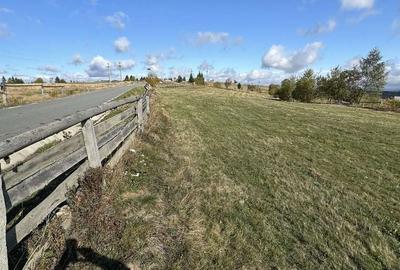 Teren de 1000 mp, în Mărișel - 5