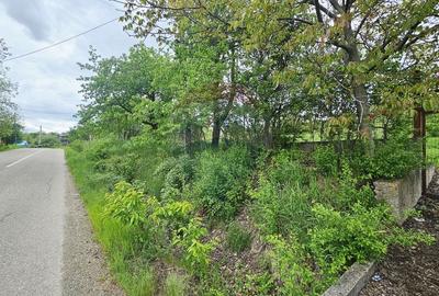 Teren Construcții intravilan de 5350 mp, în Dobreni - 10