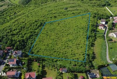 Spațiu comercial, în Livezeni - 13