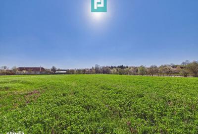 Teren de 3024 mp, în Almaș - 4