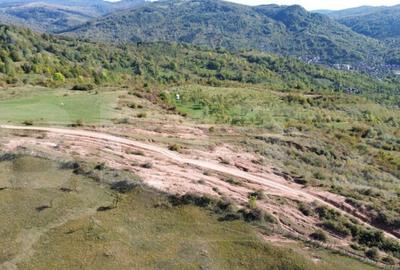 Teren extravilan, 41.631,00 mp, zona Pietrosita - 7