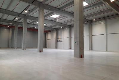 Spatiu Industrial - 5300 mp - Logistica - Productie - Depozitare - Distributie - 3