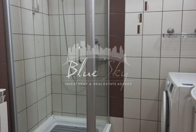Apartament cu 2 camere decomandat, mobilat în Trocadero - 11
