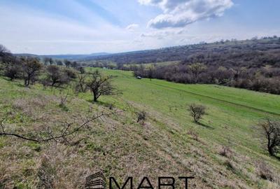 Teren extravilan 16420 mp | Sibiu - Daia - 2