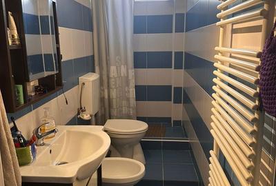 Apartament cu 2 camere decomandat în Radna - 2