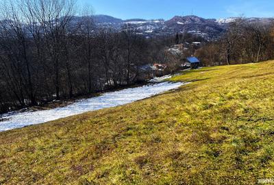 Teren de 10000 mp, în Cornu - 2