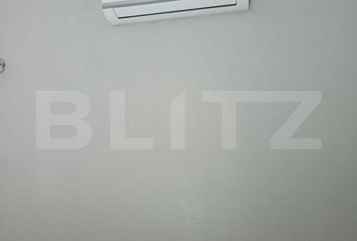 Spațiu comercial, de 230 mp, în Paltin - 16