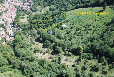 Teren in Scheii Brasovului inconjurat de natura - 8