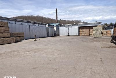 Spațiu comercial, de 43,000 mp, în Voila - 15