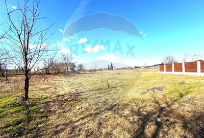 Teren Construcții intravilan de 921 mp, în Gherăiești - 4