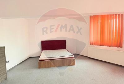 Casa / Vila de inchiriat pretabila muncitori - 1