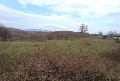 Teren de 7712 mp, în Cărbunari - 1