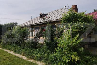 Casă cu 4 camere cu Teren 2557 Mp în Drăgănești - 6