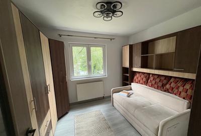 Dau in chirie apartament cu 2 camere Dambu pietros - 2