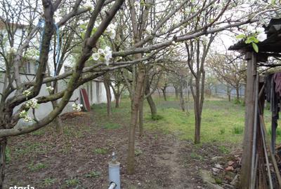 Casă cu 3 camere cu Teren 1123 Mp în Bujac - 4