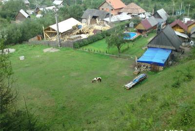 Casă cu 3 camere cu Teren 3000 Mp în Cerc - 3