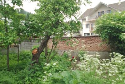 Casă cu 3 camere în Câmpeni - 5