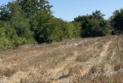 Teren de 970 mp, în Runcu - 2