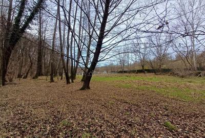 Teren de 4500 mp, în Govândari - 13