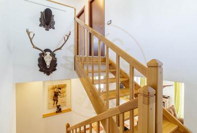 Casa de vis, gata sa devina acasa! ????? - 6