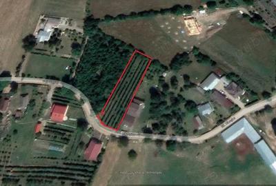 Teren de 1942 mp, în Fălticeni - 1