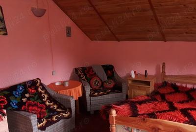 Casă cu 3 camere în Piatra - 7