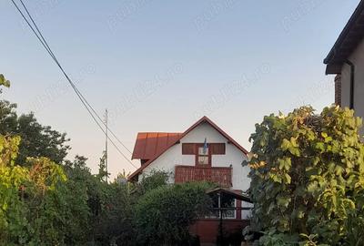 Casa de vanzare Negoiesti - Prahova - 1