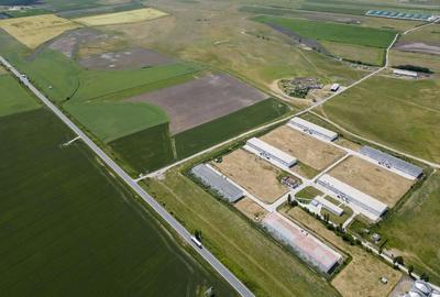 Teren Intravilan Investiții 11.600 mp Salonta - 9