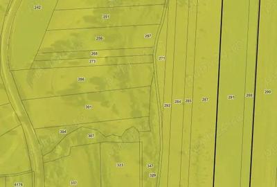Teren de 20000 mp, în Saschiz - 2