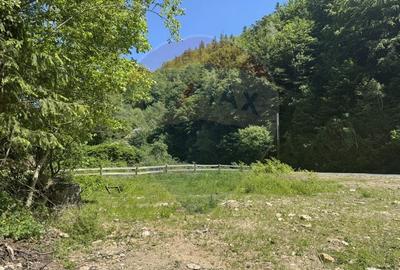Teren intravilan 1500 mp Valea Ierii - 17