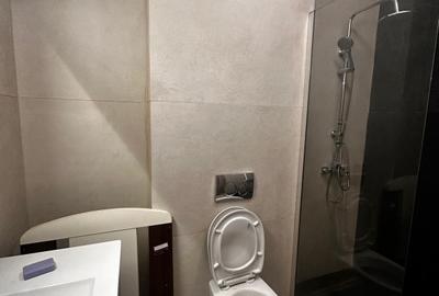 Apartament 3 camere Zona Brancoveanu Dealu Babii, GATA DE MUTARE - 13