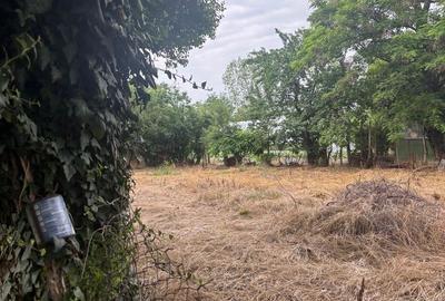 Casă cu 3 camere cu Teren 2775 Mp în Cornățelu - 3