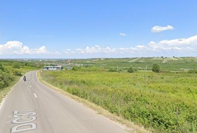 Teren de vanzare in Paleu - Saldabagiu la asfalt, gaze si electricitate - 2