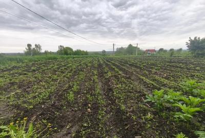 Casă cu 2 camere cu Teren 1600 Mp în Grămești