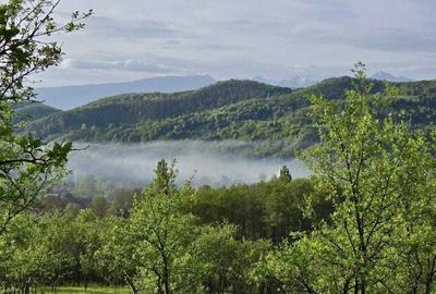 Casă cu 2 camere cu Teren 5000 Mp în Răchitova - 1