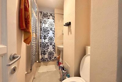 Apartament cu 2 camere decomandat în Nufărul