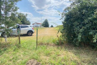 Teren Construcții intravilan de 7744 mp, în Moara Vlăsiei - 6