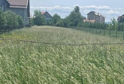 Teren de 2020 mp, în Rădăuți - 1