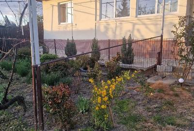 Casă cu 3 camere cu Teren 1352 Mp în Horia - 2