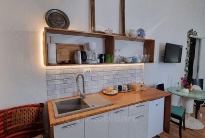 Casa 5 cam., 300 mp, crama, gradina, iaz, aer curat, liniste,  cartier Gruia - 29