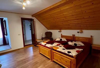 Pensiune Premium lângă Sarmizegetusa și Parcul Retezat - 7