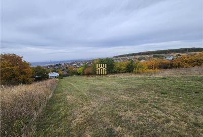 Teren Intravilan 2460 mp - Burdujeni Sat! - 3