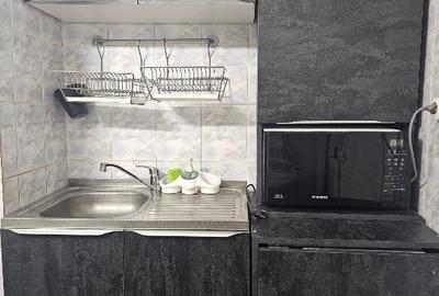 Apartament cu 2 camere decomandat, mobilat în Lujerului - 5