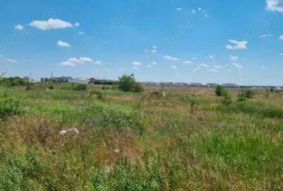 Vanzare Teren intravilan 5000mp Magurele - 2