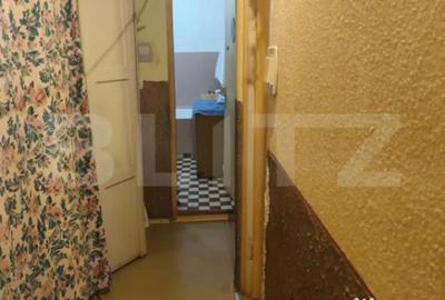 Apartament cu 3 camere decomandat în Nufărul - 10