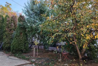 Casa de inchiriat Craiova centru zona rezidentiala - 4