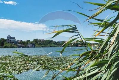 Casă cu 7 camere cu Teren 1798.1600341797 Mp în Izvorani - 3