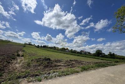 !OFERTA!Teren intravilan Satulung 2877MP - 5