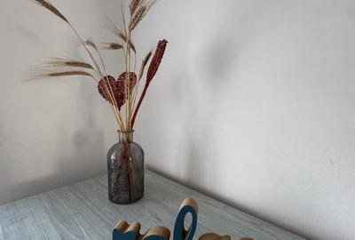 Apartament cu 2 camere decomandat, mobilat în Zorilor - 9